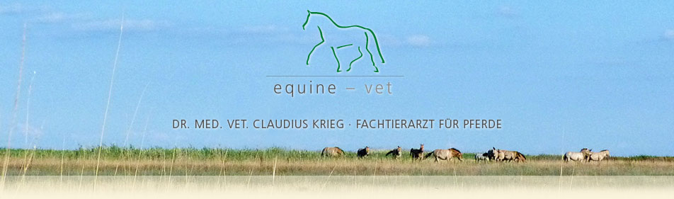 equine-vet · Dr. med. vet Claudius Krieg · Fachtierarzt für Pferde · Rufbereitschaft für München und Umgebung – rund um die Uhr, 365 Tage im Jahr!  - WILLKOMMEN